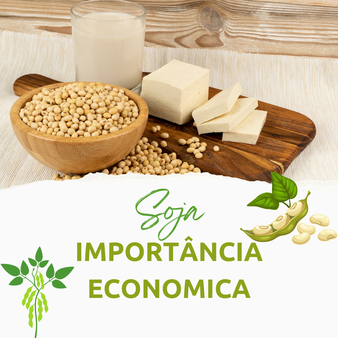 Read more about the article A soja e sua importância econômica