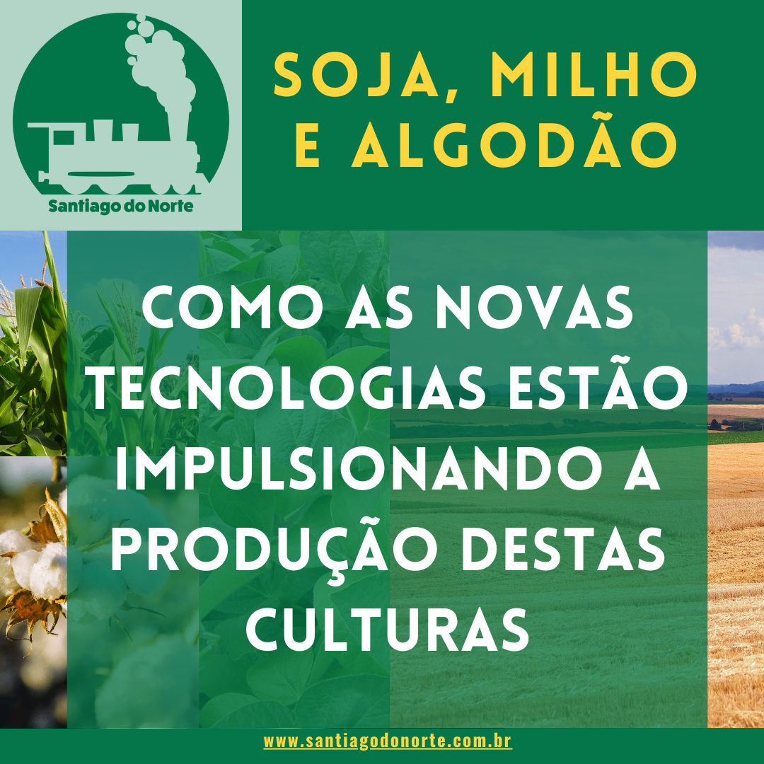 Read more about the article Soja, milho e algodão: como as novas tecnologias estão impulsionando a produção destas culturas